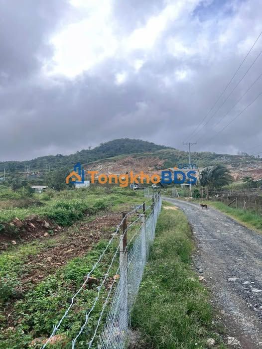 Đất 2 mặt tiền Tu Tra Đơn Dương 6500m² giá 2.2 tỷ - Pháp lý rõ ràng