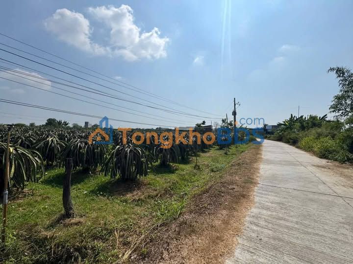 Đất nền Hàm Minh 1620m² giá 2.475 tỷ - Sổ đỏ chính chủ