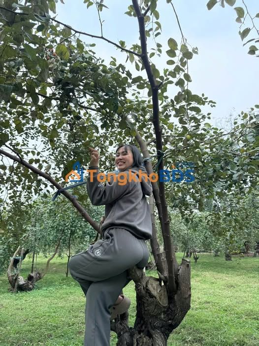 Đất thổ cư Phương Trung Thanh Oai 71m² - Đường to ô tô