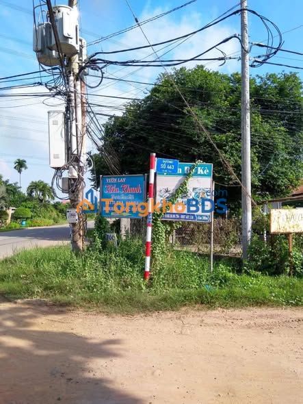 Đất vườn góc 2MT Trung An Củ Chi 1.795m² - Tiềm năng tăng giá