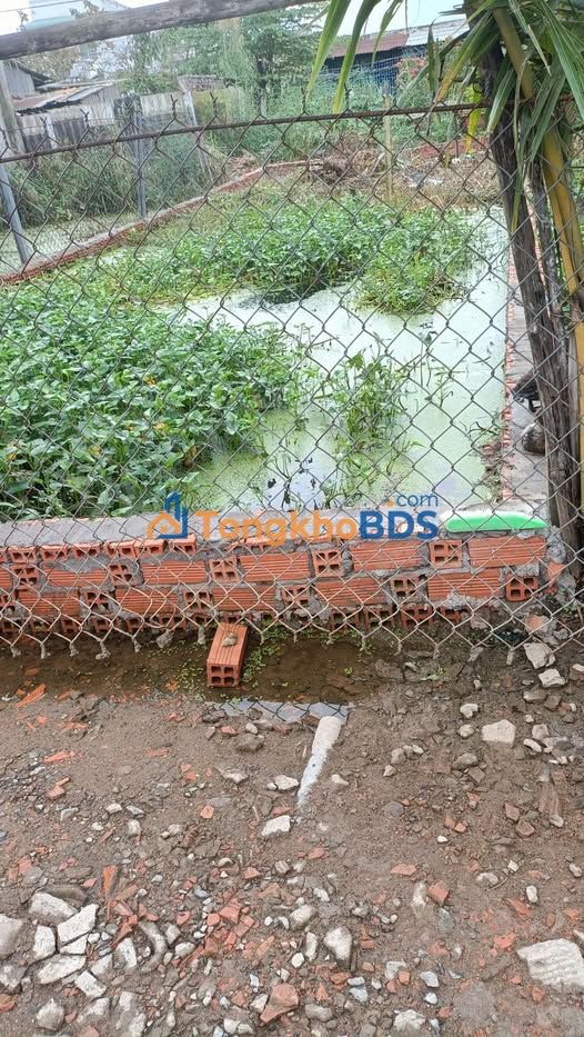 Đất nền Long Hậu Cần Giuộc 75m² giá 980 triệu - Sổ đỏ chính chủ