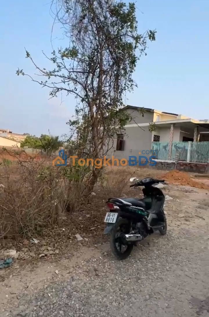 Đất cây lâu năm Hàm Tiến 360m² - Tiềm năng tăng giá mạnh