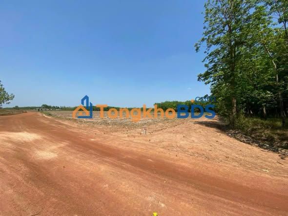 Đất nền Tân Lập Đồng Phú 1000m² - Tiềm năng tăng giá