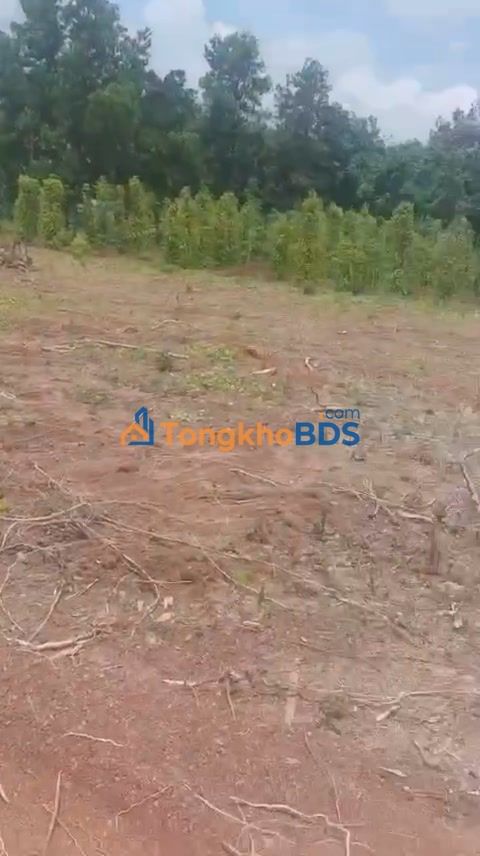 Đất nền Tân Lập Đồng Phú 2000m² 395 triệu - Đường 12m