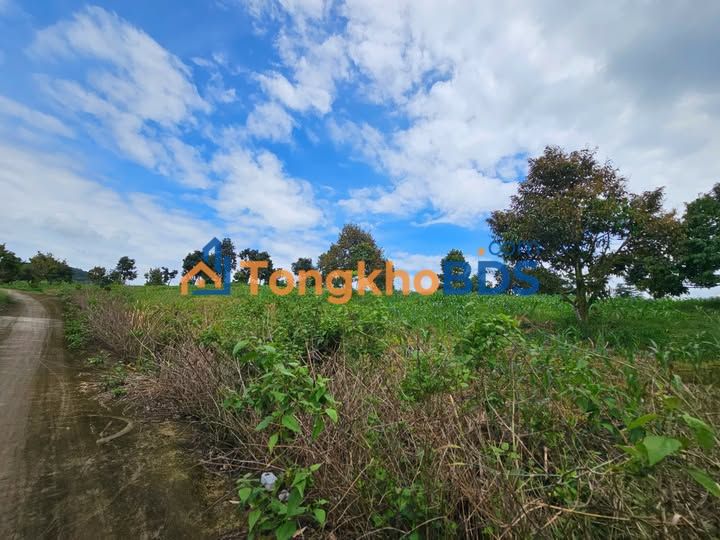 Đất vườn Liên Hà Lâm Hà 4.000m² - Sinh thái xanh