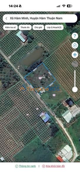 Đất nền Hàm Minh 1267m² giá 1.2 tỷ - Tiềm năng tăng giá