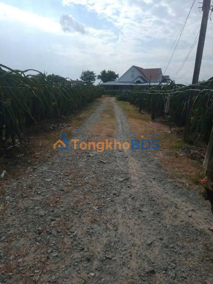 Đất vườn Hàm Minh 1,3ha giá đầu tư tốt - Sinh thái xanh