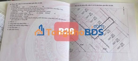 Đất nền Dự án Đồi mắm tôm Hạ Long 90m² giá 3.6 tỷ - Sổ đỏ chính chủ