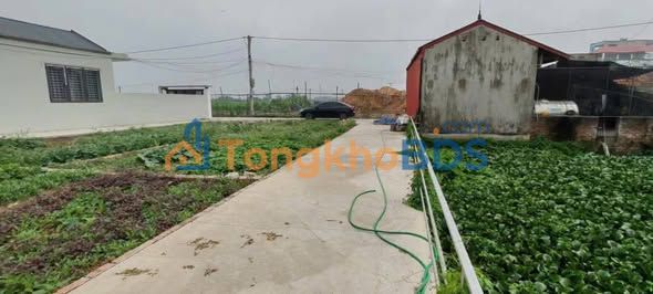 Đất nền Quế Sơn Thanh Oai 43,1m² - Đường to ô tô rộng