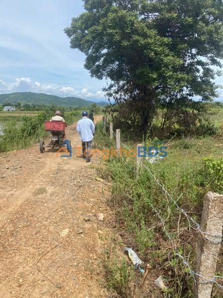 Đất nông nghiệp Bình An 8960m² 720 triệu - Giá đầu tư tốt