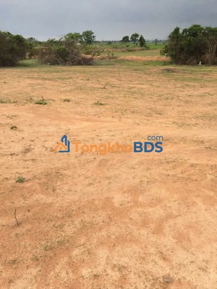 Đất vườn Hàm Trí 1ha giá tốt - Sinh thái xanh