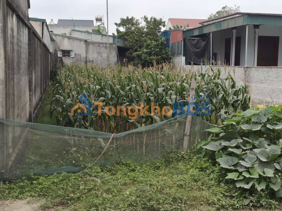 Đất nền Quảng Hùng Sầm Sơn 275m² - Đất thổ cư 100%
