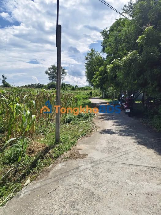 Đất vườn Hàm Trí Bình Thuận 2016m² - Giá đầu tư tốt