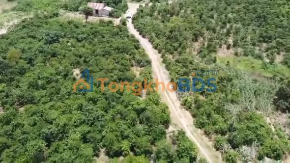 Đất vườn Liên Hà Lâm Hà 1.2ha 10 tỷ - Nghỉ dưỡng lý tưởng