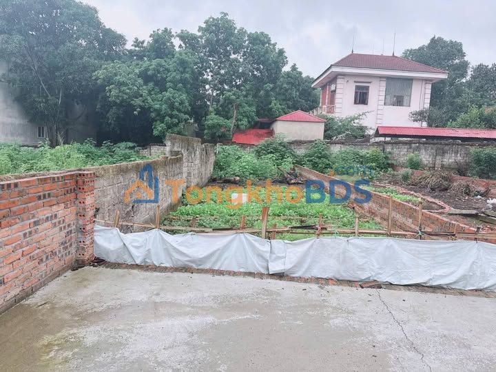 Đất nền Minh Phương Yên Lạc 110m² giá 1 tỷ - Đường to ô tô