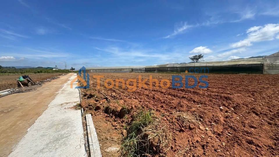 Đất nền Tu Tra Đơn Dương 200m² giá 400 triệu - Pháp lý rõ ràng