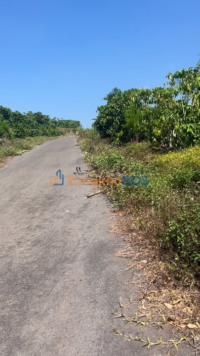 Đất vườn Lộc Thanh Bảo Lộc 2880m² - Sinh thái xanh