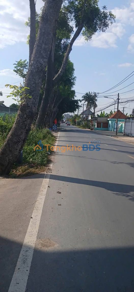 Đất nền Nguyễn Thị Lắng Củ Chi 826m² - Tiềm năng tăng giá