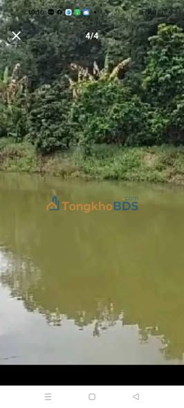 Đất vườn Tân Hưng Đồng Phú 7.2ha - Sinh thái xanh đẹp