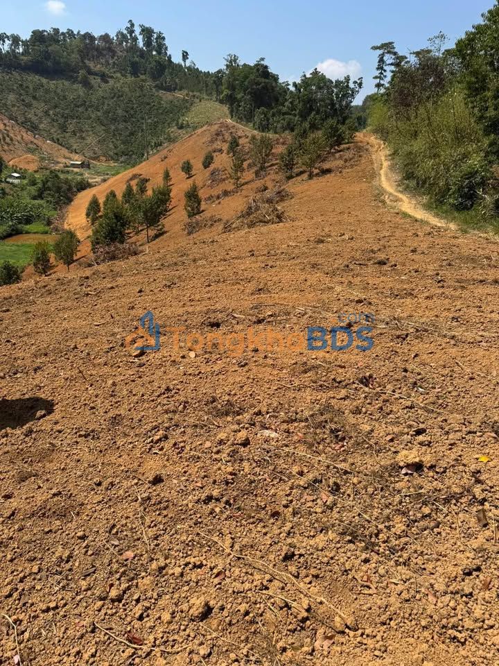 Đất vườn Tân Thanh Lâm Hà 4ha giá 2.6 tỷ - Sinh thái xanh