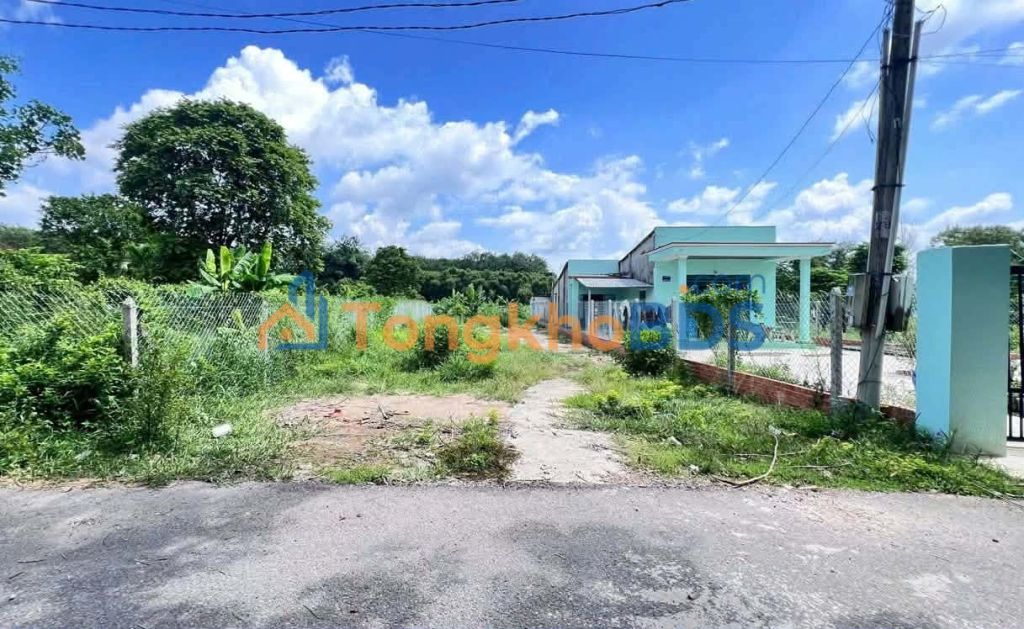 Đất thổ cư Tân Lập Đồng Phú 320m² - Tiềm năng tăng giá