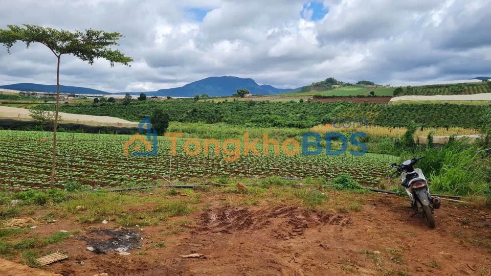 Đất nền Tu Tra Đơn Dương 1780m² - View sông, pháp lý rõ