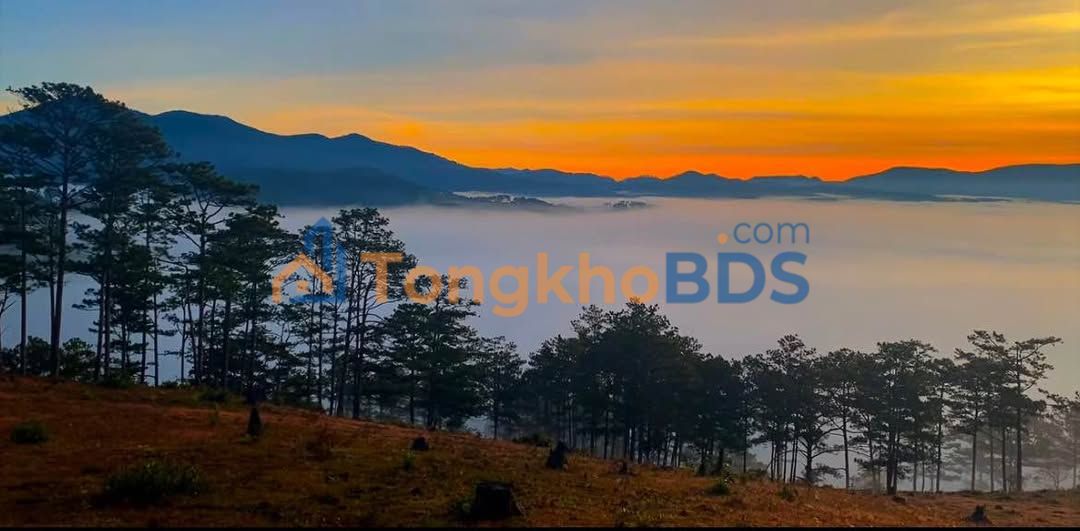 Đất vườn Đạ Nhim 720m² giá 450 triệu - Nghỉ dưỡng lý tưởng