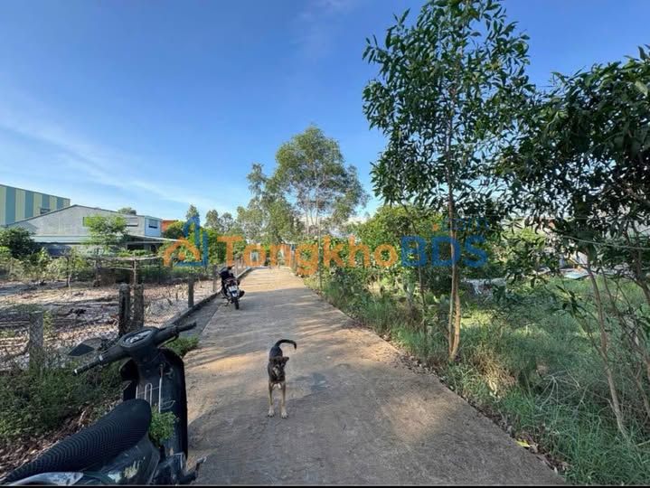Đất nền An Phú Tam Kỳ 193m² - Đường ô tô, tiềm năng đầu tư