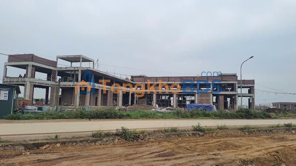 Shophouse Tân Ước Thanh Oai 125m² - Mặt tiền kinh doanh