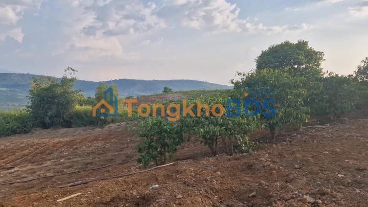 Đất vườn Liên Hà Lâm Hà 1.2ha - View thiên nhiên