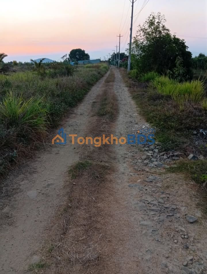 Đất nền Hàm Cường Bình Thuận 800m² tiềm năng tăng giá