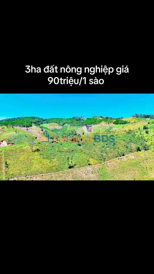 Đất vườn Nam Hà Lâm Hà 3ha - Sinh thái xanh