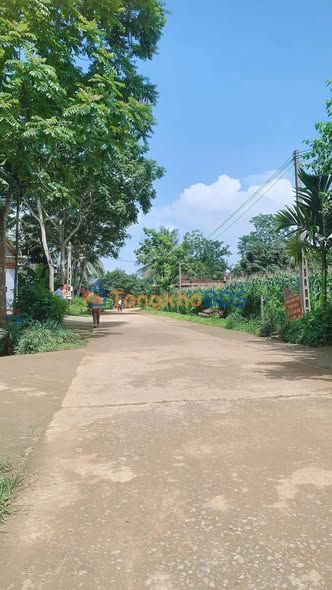 Đất nền Ngọc Sơn Ngọc Lặc 829m² 800 triệu - Đất thổ cư 100%