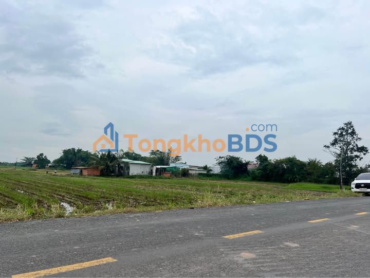 Đất lúa Đức Lập Hạ 1200m² giá 7 tỷ - Sổ hồng riêng, mặt tiền nhựa