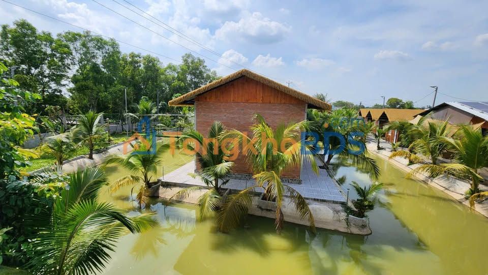 Nhà vườn homestay ĐT 825 Đức Hòa 3000m² - Nghỉ dưỡng lý tưởng