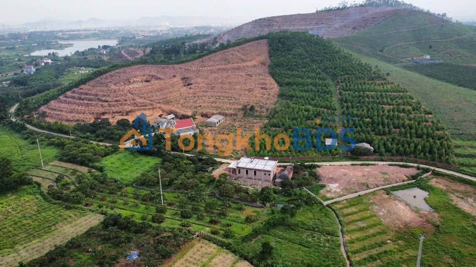 Đất vườn Bến Tắm Chí Linh 2,5ha 4 tỷ - Nghỉ dưỡng lý tưởng