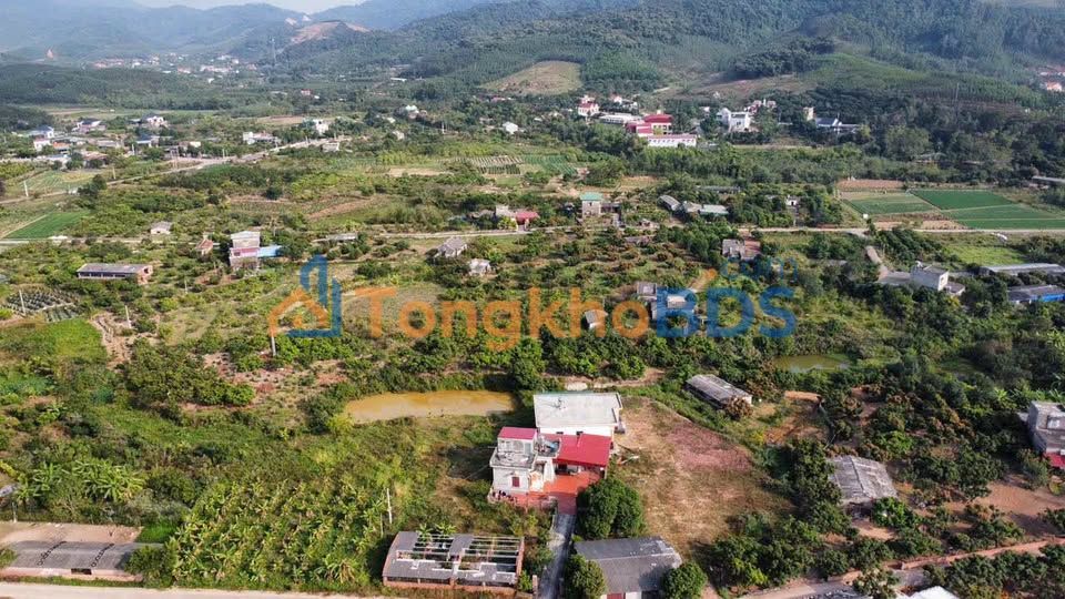 Đất vườn Nguyễn Trãi Hải Phòng 7000m² - Nghỉ dưỡng lý tưởng