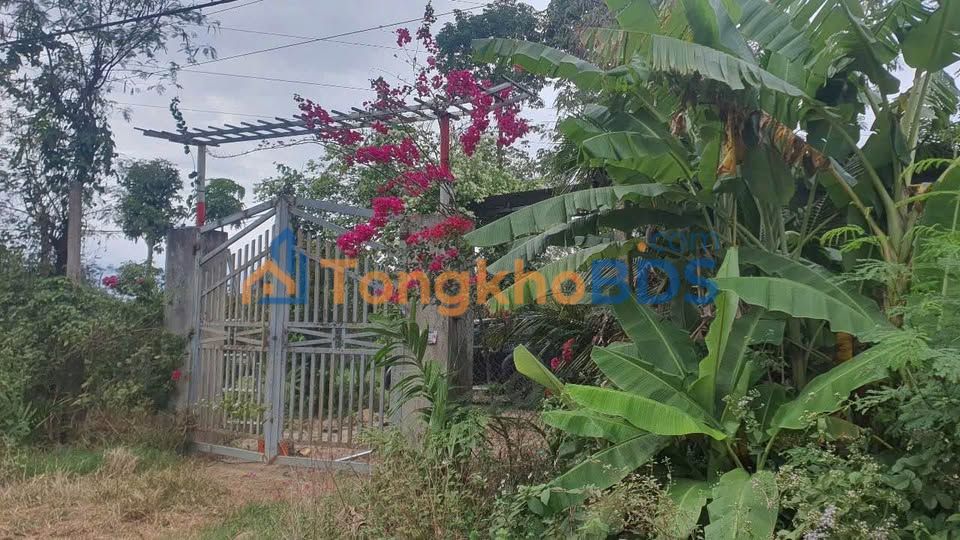 Đất vườn Hòa Khánh Buôn Ma Thuột 2628m² - Nghỉ dưỡng lý tưởng