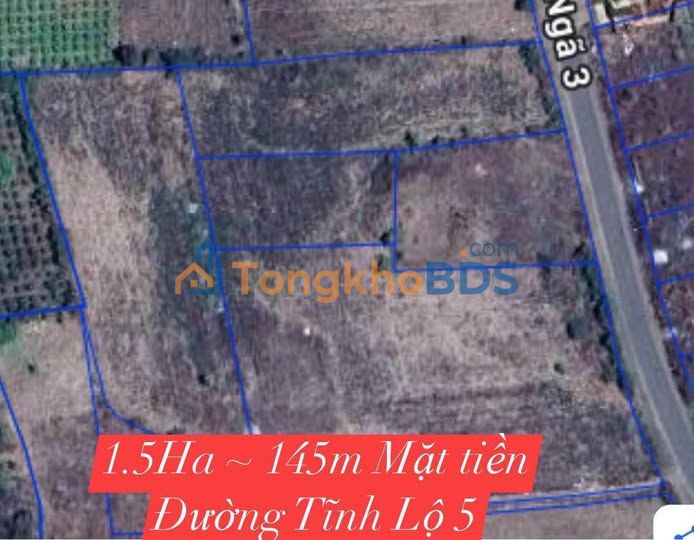 Đất vườn Cư Êbur 1.5ha mặt tiền TL5 - Sinh thái xanh
