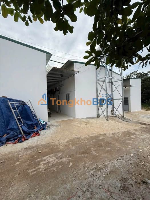 Dãy trọ 16 phòng KCN Hòa Phú 400m2 - Dòng tiền ổn định