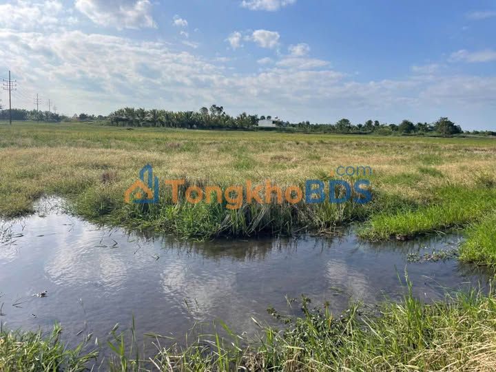 Đất ruộng Hòa Khánh Buôn Ma Thuột 828m² - Giá đầu tư tốt