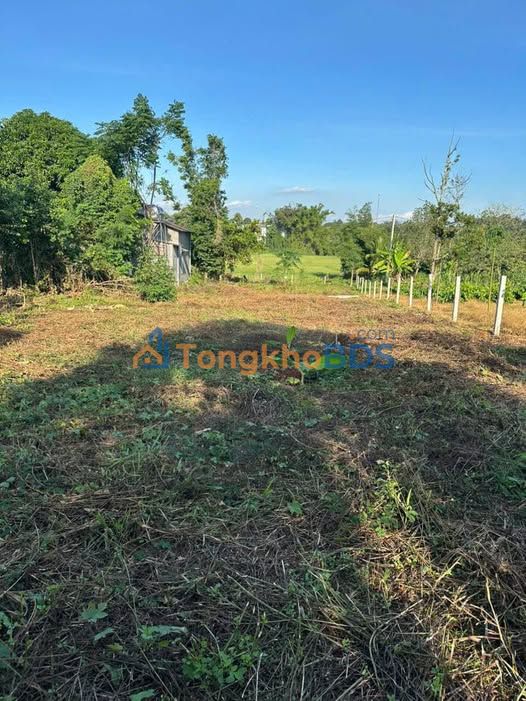 Đất vườn Ea Kao 930m² 1.49 tỷ - Sinh thái xanh