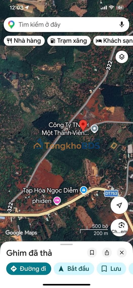 Đất nền Tân Phước Đồng Phú 1000m² 310 triệu - Tiềm năng tăng giá