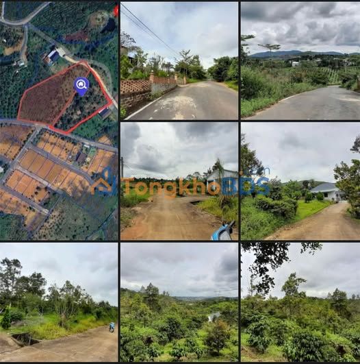 Đất vườn 2MT Ỷ Lan Bảo Lộc 10.000m² giá 9.3 tỷ - Sinh thái xanh