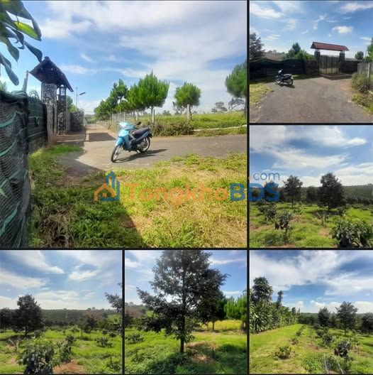 Đất vườn Bảo Lộc 11.996m² - Nghỉ dưỡng lý tưởng