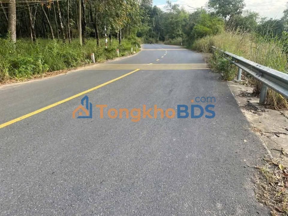 Kho Xưởng Vĩnh Tân Tân Uyên 15.000m² 85 tỷ - Diện tích lớn, vận hành ngay!