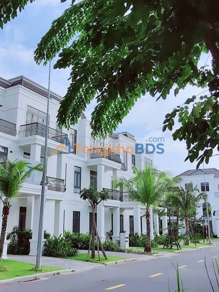 Nhà phố Tân Mỹ Đức Hòa 84m² - Đầu tư sinh lời