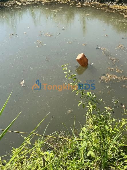 Đất nền Tân Văn Lâm Hà 1440m² giá 1.6 tỷ - Đường to ô tô