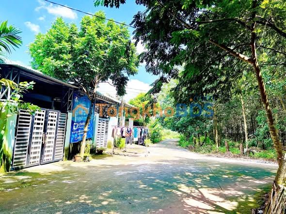 Đất nền góc Ấp 3 Nha Bích 1376m2 - Đường to ô tô