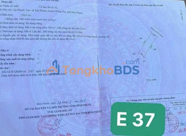 Đất nền Tân Phước 150m² giá 400 triệu - Tiềm năng tăng giá